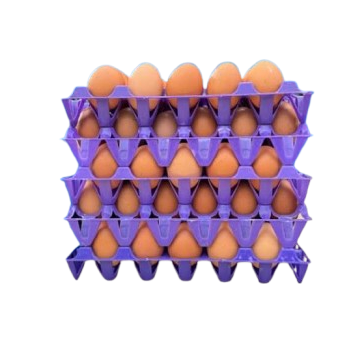 Plateau d’Œufs de Table